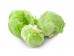 ICEBERG LETTUCE 1 lb