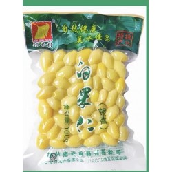 GINKGO 500.00 GRAM
