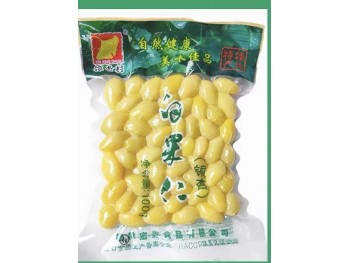 GINKGO 500.00 GRAM