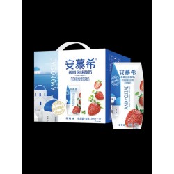 YOGURT 12.00 BOX