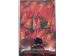 DAHONGPAO TEA 200.00 GRAM