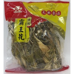 DRIED HYLOCEREUS UNDATUS 284.00 GRAM