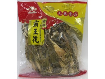 DRIED HYLOCEREUS UNDATUS 284.00 GRAM