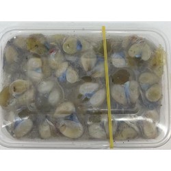 SEAFOOD 408.00 GRAM