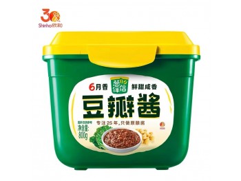 SOYBEAN PASTE 800.00 GRAM