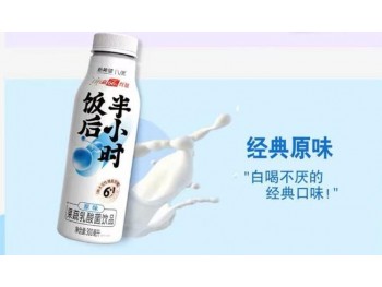 YOGURT DRINK 300.00 MILLILITER