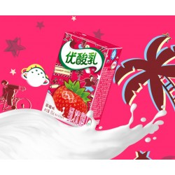 YOGURT STRAWBERRY FLAVOR 250.00 MILLILITER