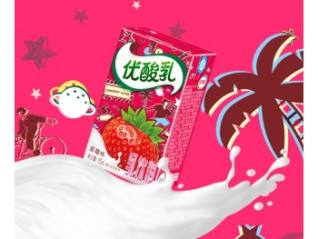 YOGURT STRAWBERRY FLAVOR 250.00 MILLILITER