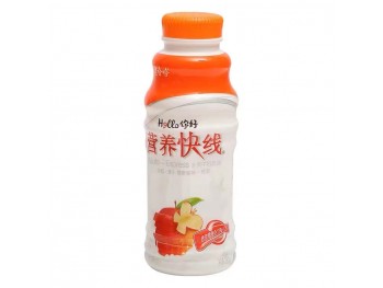 YOGURT DRINK 500.00 GRAM