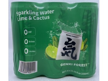 GF SPARKING WATER LIME&CACTUS 6.00 CAN