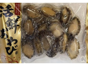BLACK GOLD ABALONE  14.50 OUNCE