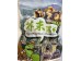 PREPARED BROAD BEAN WASABI FLA  100.00 GRAM