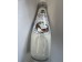 EVERGREEN COCONUT MILK DRINK W/JELLY {ORGINAL} 9.80 OUNCE