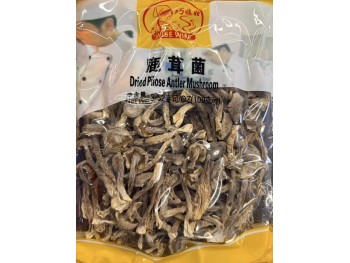 WISE WIFE DRIED PILOSE ANTLER MUSHROOM  100.00 GRAM