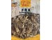 WISE WIFE DRIED PILOSE ANTLER MUSHROOM  100.00 GRAM