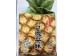 ZRSC PINEAPPLE CAKE  300.00 GRAM
