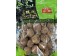 ZZ DRIED LYCHEE  340.00 GRAM