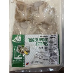 ALPHA FROZEN WHOLE OCTOPUS 340.00 GRAM