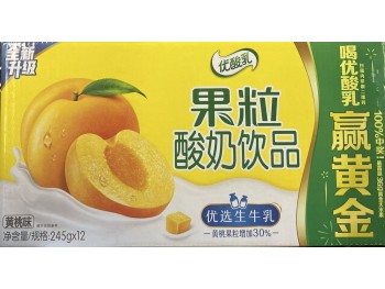 YILI FRUIT YOGURT PEACH  12.00 BOTTLE