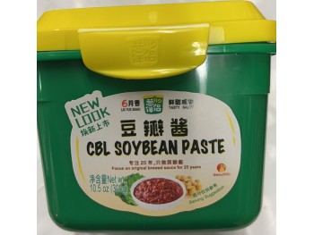 SOYBEAN PASTE 300.00 GRAM