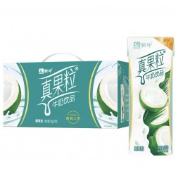 COCONUT MILK YOGURT DRINK  12.00 BOTTLE