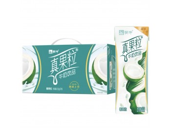 COCONUT MILK YOGURT DRINK  12.00 BOTTLE