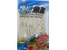 FUZHOU  FICH  NOODLE 200.00 GRAM