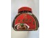 SICHUAN DISH SAUCE  500.00 GRAM