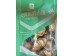 LPPZ BRAISED QUAIL EGG  400.00 GRAM
