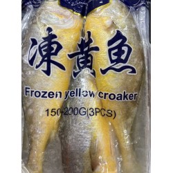 AC EAGLE FROZEN YELLOW CROAKERS  1.40 POUNDS