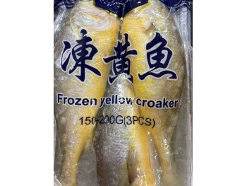 AC EAGLE FROZEN YELLOW CROAKERS  1.40 POUNDS