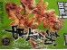 SQUID SKEWERS  60.00 GRAM