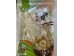 HUAMEI ORIENTAL STYLE NOODLE  1000.00 GRAM