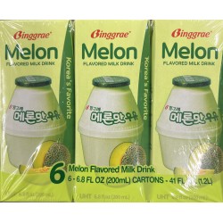 MELON  FLAVORED MILK DRINK  6.00 PACKET