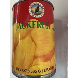 GO-JACKFRUIT IN SYRUP  230.00 GRAM
