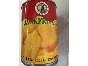 GO-JACKFRUIT IN SYRUP  230.00 GRAM