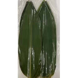 FRESH BAMBOO LEAF 100.00 PIECE