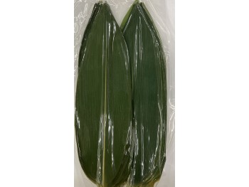 FRESH BAMBOO LEAF 100.00 PIECE