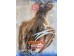 RELY DRIED OCTOPUS 6.00 OUNCE