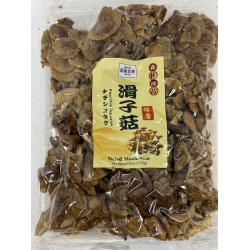 JAPAN OATA PLEUROTUS OSTREATUS 170.00 GRAM