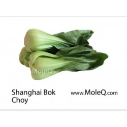 SHANGHAI BOK CHOY 1 lb