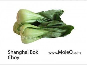 SHANGHAI BOK CHOY 1 lb