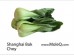 SHANGHAI BOK CHOY 1 lb