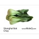 SHANGHAI BOK CHOY 1 lb