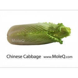 CHINESE CABBAGE 1 lb