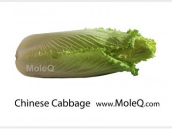CHINESE CABBAGE 1 lb