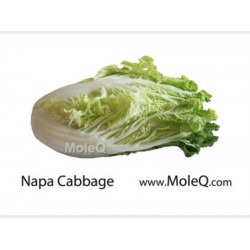 NAPA CABBAGE 1 lb