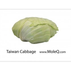 TAIWAN CABBAGE 1 lb