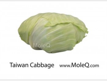 TAIWAN CABBAGE 1 lb