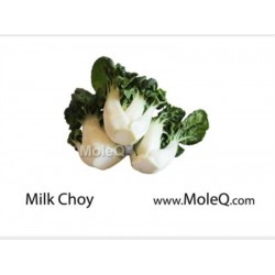 MILK CHOY 1 lb